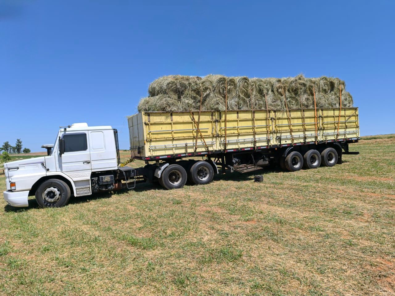 Carreta com fardos de feno para entrega ao comprador